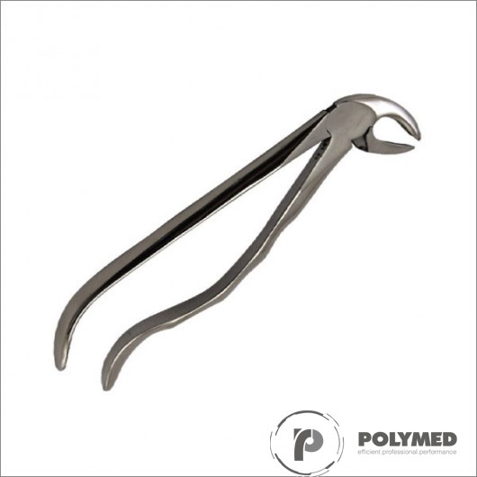Cleste 22, molari inferiori - Polymed