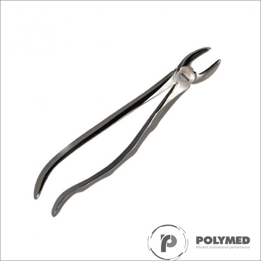 Cleste 29, incisivi superiori - Polymed