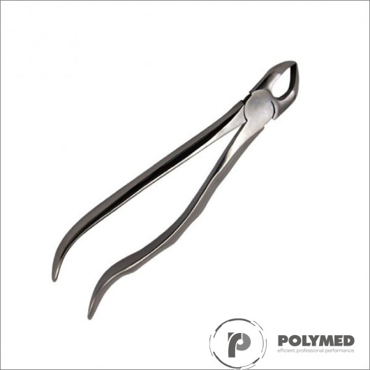 Cleste 31, radacini inferioare - Polymed
