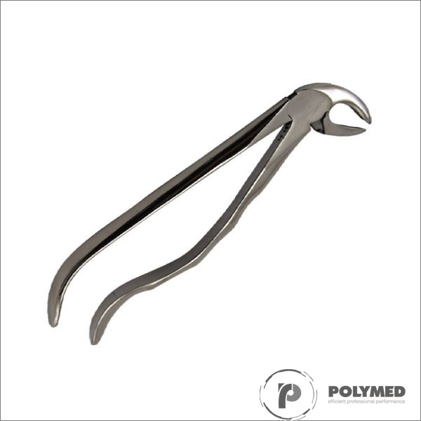 Cleste 22, molari inferiori - Polymed