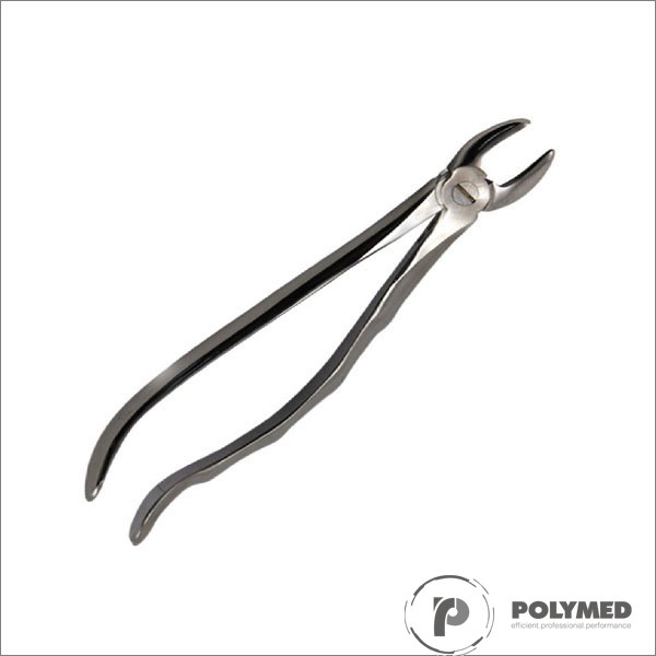 Cleste 29, incisivi superiori - Polymed