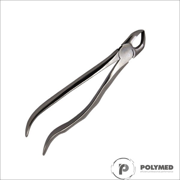 Cleste 31, radacini inferioare - Polymed