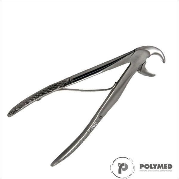 Cleste 561, premolari superiori, copii