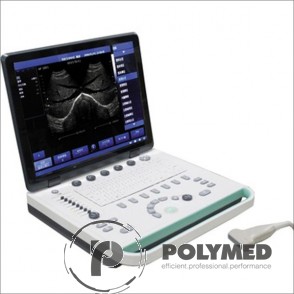 Ecograf tip laptop SS8