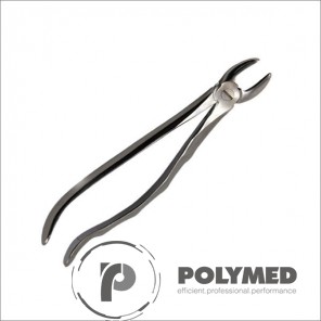 Cleste 29, incisivi superiori - Polymed